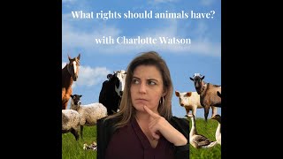 What rights should animals have [upl. by Ubana796]