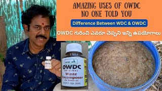 OWDC గురించి ఎవరూ చెప్పని ఇన్ని ఉపయోగాలు  Amazing uses of OWDC [upl. by Avner]