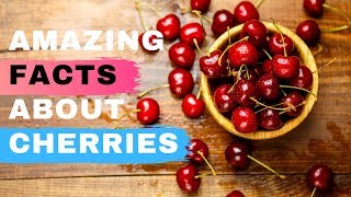 Top 6 Amazing Facts About Cherries  Health Benefits of Eating Cherries [upl. by Leahkim71]