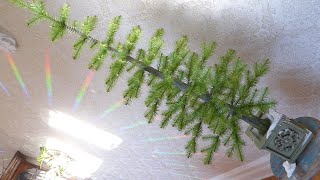 Making a Victorian Christmas feather tree my own way [upl. by Tania]