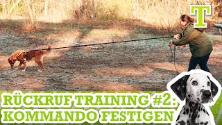 Sicherer Rückruf bei Hunden  Hunde Rückruftraining Teil 2 Durchsetzen und Rückruf Festigen [upl. by Matlick]