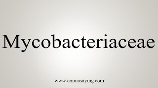 How To Say Mycobacteriaceae [upl. by Taran788]