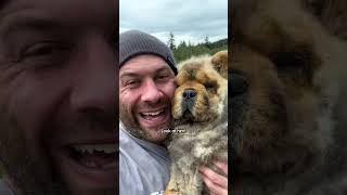 Blind Forever Puppy Melts In His New Dad’s Arms  The Dodo thedodojourney dog [upl. by Niccolo181]