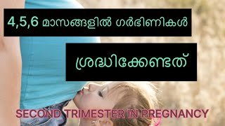 SECOND TRIMESTER IN PREGNANCY MALAYALAM ഗർഭിണികൾ ശ്രദ്ധേക്കേണ്ടത് എന്തൊക്കെ [upl. by Dumas]