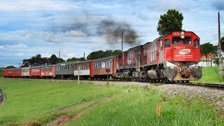 Trem de Passageiros na ferrovia Curitiba  Paranaguá  P15 em Curitiba [upl. by Notkcorb423]