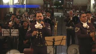 CUAL ESTRELLA CON MARIACHI FLETES [upl. by Submuloc]