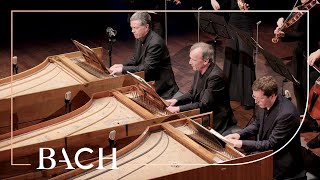 Bach  Concerto for three harpsichords in D minor BWV 1063  Mortensen  Netherlands Bach Society [upl. by Ymer]