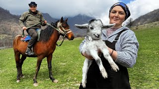 Spring Has Come To Our Village Cooking Delicious Food Away From Civilization [upl. by Mosier]