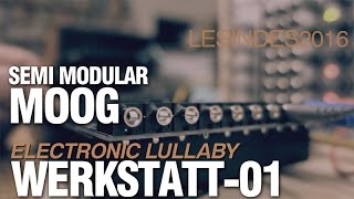 MOOG WERKSTATT 01  ELECTRONIC LULLABY [upl. by Atiral]