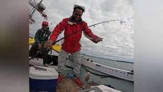 fishing tauranga Mt maunganui [upl. by Attenborough521]