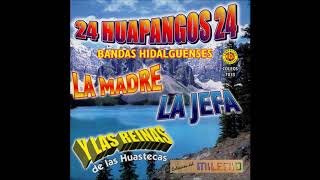 Bandas Hidalguenses  24 Huapangos Disco Completo [upl. by Uolyram]