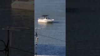 Boating on the Harlem River 🛥 Shorts Boat Harlemriver EIGHTYSGUY [upl. by Beesley]