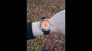 Seiko Samurai seiko seikowatch seikosamurai seikodiver diverwatch fall [upl. by Daisey377]