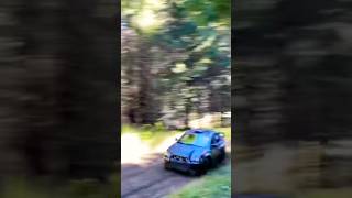 Rally ASMR 🎧 Volume up 2024 Tour De Forest rally [upl. by Tavia]