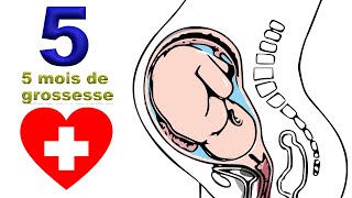 5 mois de grossesse  tout bouge  EnceinteSante [upl. by Oad772]