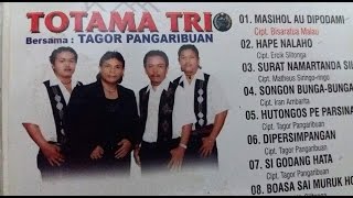 Totama Trio  Songon Bunga Bunga  Cipt Iran Ambarita Lagu Batak [upl. by Tenay660]