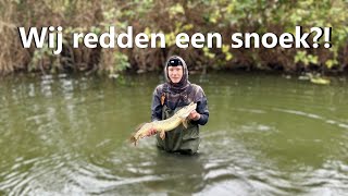 Snoeken 10  Wij Redden Een Snoek [upl. by Aleakcim162]