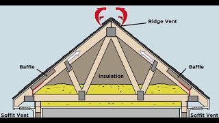 How Does Proper Attic Ventilation Protect my Roof [upl. by Anilat]