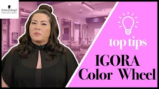 Breaking Down The Igora Royal Color Chart  Boothcamp Top Tips  Schwarzkopf USA [upl. by Anatniuq]