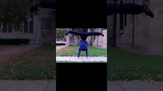 Friends Do Handstands in Châlons en Champagne [upl. by Akerdnahs]