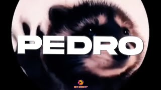 PEDRO  Jaxomy Agatino Romero Raffaella Carrà TikTok Song [upl. by Wakefield]