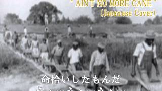 エイント・ノー・モア・ケインAint No More Cane日本語COVER [upl. by Latsyc]