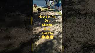 Houston tx canada humor viralvideo memes campechaneando eu europe españacolombia argentina [upl. by Lory]