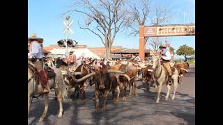 Fort Worth Stockyards [upl. by Ammadas]