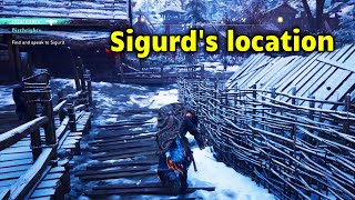 Find and speak to Sigurd Assassins Creed Valhalla Birthrights Quest [upl. by Livvy298]