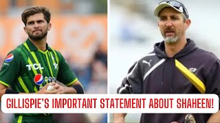 Jason Gillespie important statement about Shaheen Afridi [upl. by Shalom]