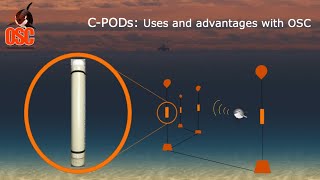 CPODs Uses and advantages of working with OSC [upl. by Close]