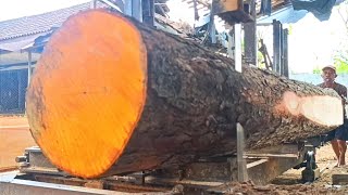 sawing old mahogany logs for expensive thick planks [upl. by Ahsimin417]