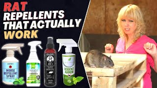 Best Rat Repellent Spray How to Get Rid of Rats in House Fast  Top Repellents [upl. by Trescha]