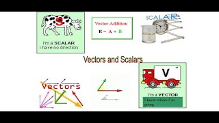 Scalars and Vectors  class 9  physics  All boards [upl. by Arraeic571]