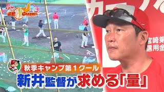 【秋季キャンプ】投げる！振る！走る！新井監督が求める『量』 [upl. by Owens]