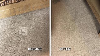 Drs Rx Fix Your Dented Carpet with Help from Your Freezer [upl. by Ttezil]