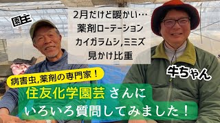 住友化学園芸の牛ちゃんにいろいろ質問してみました！カイガラムシ、ミミズ、薬剤ローテーション、見かけ比重など [upl. by Notelrahc]