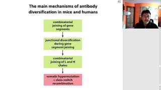 Immunogenetics [upl. by Shelagh]