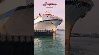 AL MESSILAH 1980 built Kuwait flagged Livestock Carrier shipspotting lyricvideo scorpions [upl. by Dylan322]