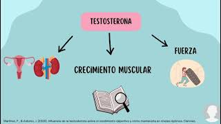 Influencia del uso de anticonceptivos orales en la ganancia de masa muscular en mujeres [upl. by Esinel815]