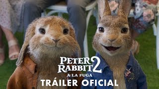 PETER RABBIT 2 A LA FUGATráiler Oficial EN ESPAÑOL y Fecha de lanzamiento  Sony Pictures España [upl. by Eirrahs755]