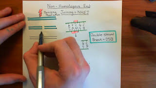 Gene Silencing Methods CRISPR vs TALENs vs RNAi [upl. by Karwan189]