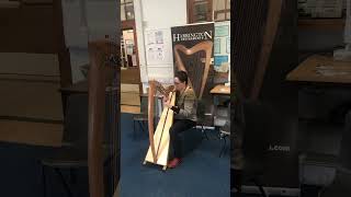 Trying out a Harrington Harp at Edinburgh [upl. by Hulen]