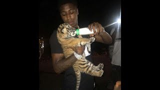 Nba youngboy OWNS A DOMESTICATED TIGER THAT SWIMS [upl. by Mcmurry804]