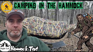 HAMMOCK CAMPING IN VIRGINIA 32324 [upl. by Ahsinad]