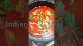 അയല മുളകിട്ടത് തയ്യാറാക്കു  Kerala fish curryMeen CurryMeen Mulakittathu shortsfeed [upl. by Ahsenet]