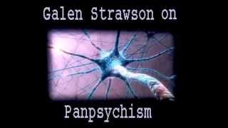 Galen Strawson on Panpsychism [upl. by Wilda]