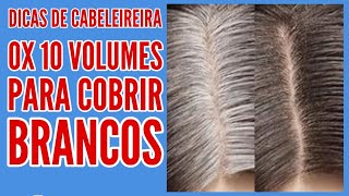 OX de 10 VOLUMES  TINTA para COBRIR BRANCOS Cabelo com Mechas [upl. by Earized]