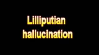 What Is The Definition Of Lilliputian hallucination [upl. by Stilla]