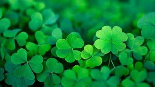 Happy Irish Music – Saint Patricks Day  Celtic Cheerful ☘️ [upl. by Mcwilliams]